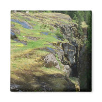 Cliff. magnets