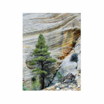 Cliff Near The Checkerboard Mesa Region Of Zion Na photo sculptures