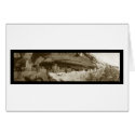 Cliff Palace Colorado Photo 1918 cards by lc_panoramicphotos Cliff Palace Colorado Photo 1918 cards