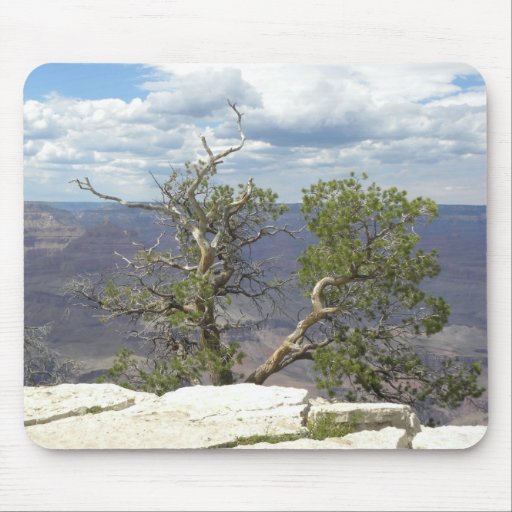 Cliff tree mousepad