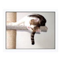 cliffhanger posters by photomorgana cliffhanger posters