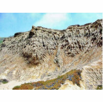 Cliffs At The Point Loma Tide Pools Were So Weird photo sculptures