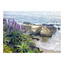 Cliffside Ocean View posters by ElainePlesser Cliffside Ocean View posters