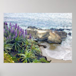 Cliffside Ocean View Poster