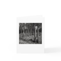 Clifton Card by LLR