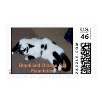 Clifton wants a belly rub. postage stamps