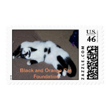Clifton wants a belly rub. postage stamps