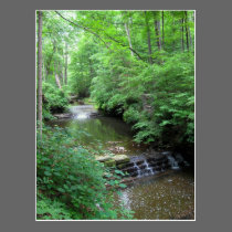Clifty Falls Creek Postcard postcards