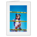 Climb up the Corporate Ladder cards by Carennedy Climb up the Corporate Ladder cards