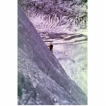 Climber on south face of Annapurna, 5800 meters, N Acrylic Cut Out