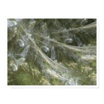 Climbing Corydalis posters by fractalina Climbing Corydalis posters
