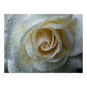 Climbing Iceberg Rosa posters by Sparks68 Climbing Iceberg Rosa posters