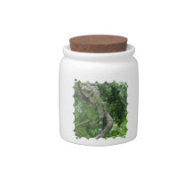 Climbing Lizard Candy Jar