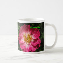 Climbing Miniature Rose Mug