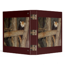 Climbing Panda Binder