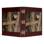 Climbing Panda Binder