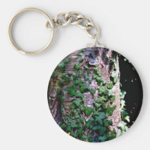 Climbing plants on tree in forest keychain