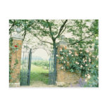Climbing Roses Beside Wrought-Iron Gate flower Post Cards