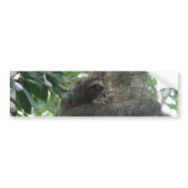 Climbing Sloth Bumper Stickers