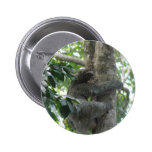 Climbing Sloth Button