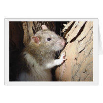 Climbing tree cards