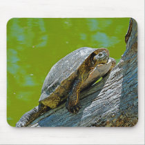 Climbing Turtle Mousepad