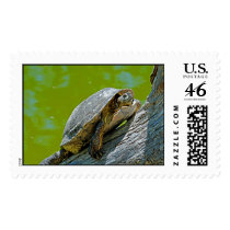 Climbing Turtle Postage postage