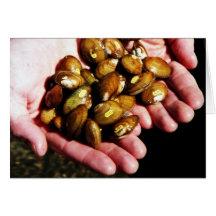Clinch River Mussels in Hand Greeting Cards