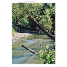 Clinch River Scenic Card