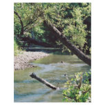 Clinch River Scenic flyers