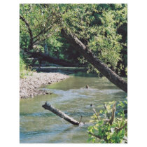 Clinch River Scenic Personalized Flyer