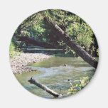 Clinch River Scenic Fridge Magnets