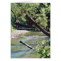 Clinch River Scenic Greeting Cards