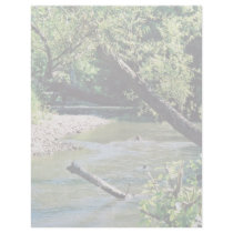Clinch River Scenic letterhead