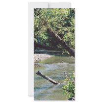 Clinch River Scenic rack cards by animalpark Clinch River Scenic rack cards