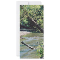 Clinch River Scenic rack cards by animalpark Clinch River Scenic rack cards