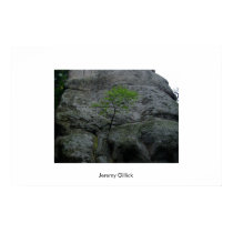 Clinging for Life posters