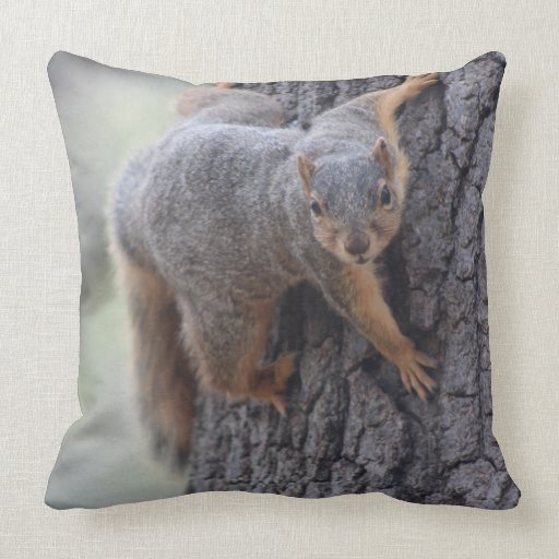 squirrel pillow pet