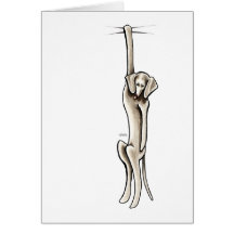 Clingy Weimaraner Cards