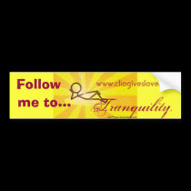 Clio Follow Me Bumper Sticker bumper stickers