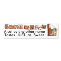 Clipboard01, new, new2, Tastes  just  as  Sweet... bumper stickers