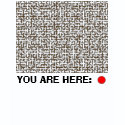 Maze - You Are Here