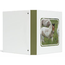 Clipped Paint Horse Binder