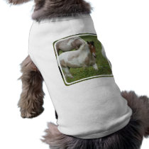 Clipped Paint Horse Pet Shirt