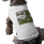 Clipped Paint Horse Pet Shirt