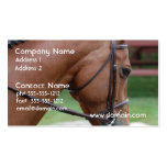 Clipped Pony Business Cards