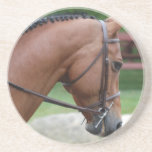 Clipped Pony Coaster