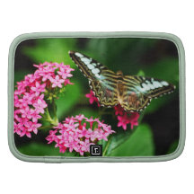 Clipper on Pentas 1  Folio Planner