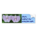 Clitoria Sp. bumper stickers by CHOLOEPUS Clitoria Sp. bumper stickers