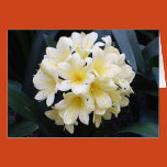 wedding planner, clivia, flowers, mail, frame,